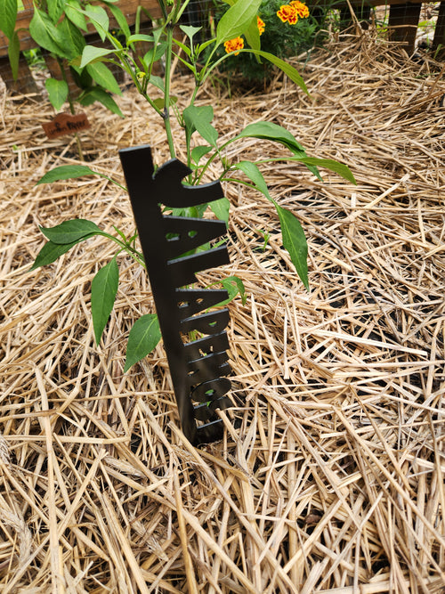 Vegetable Name Stakes Jalapeños