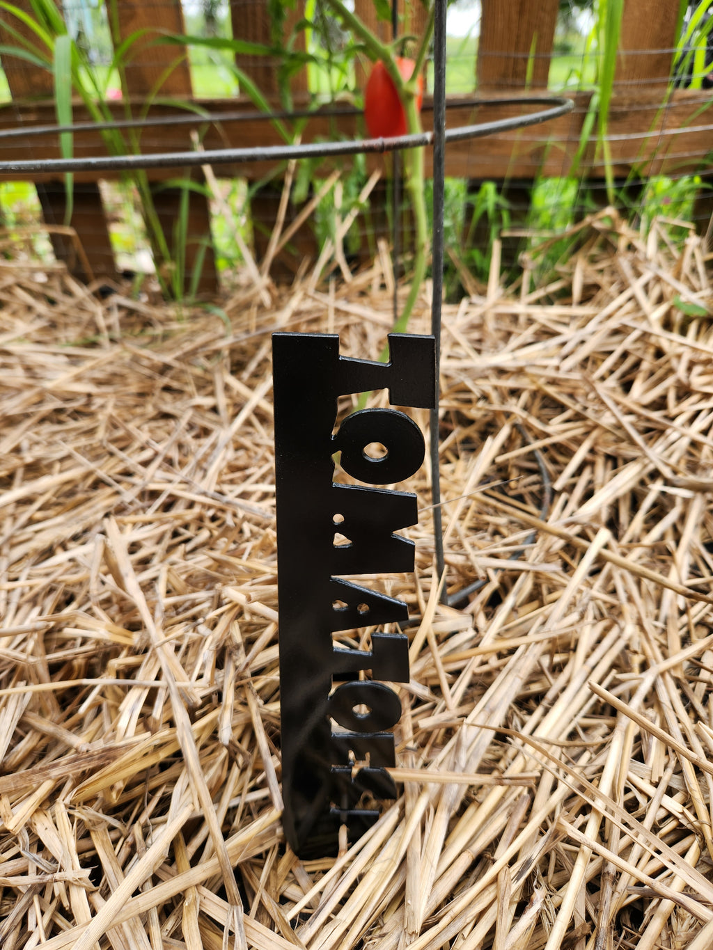 Vegetable Name Stakes Tomatoes